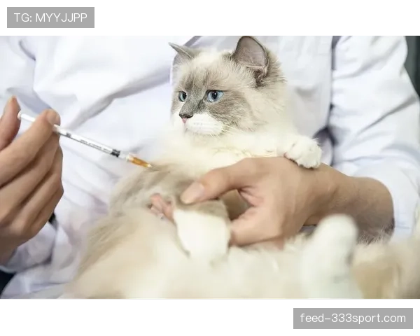掌敏洁家的猫喝的水都比我工资高